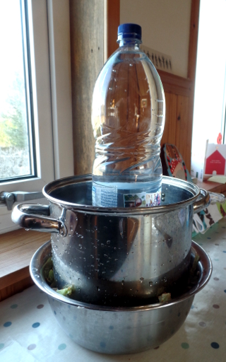 SAMSUNG CAMERA PICTURES